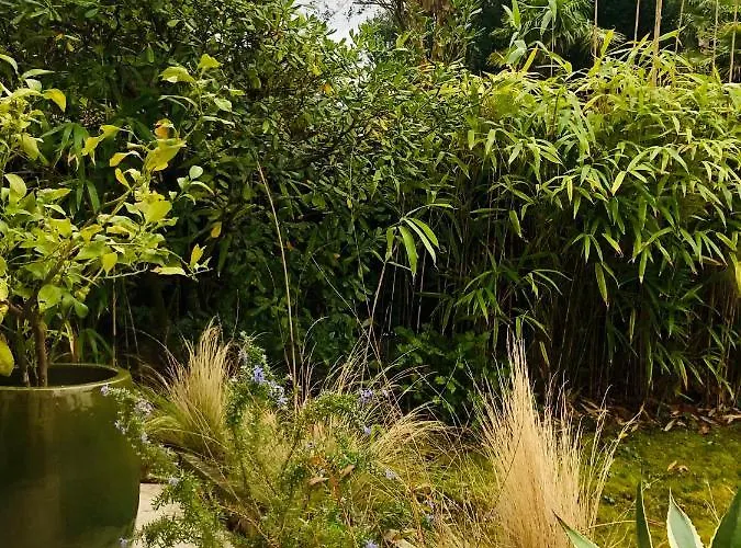 Apartamento Le Quatre Allée Stella *