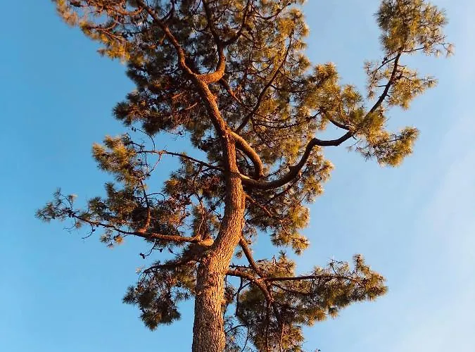 Apartamento Le Quatre Allée Stella Arcachón